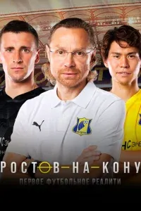 Миллиардер под прикрытием