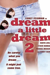 Задумай маленькую мечту 2