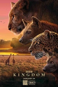 Царство животных