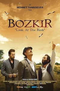 Посмотри на птиц