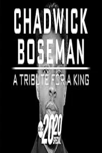 Чедвик Боузман: дань уважения королю