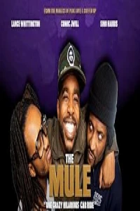 Наркокурьер