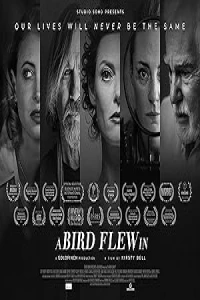 Залётная птица