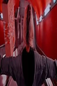 Почему мотыльки летят на свет?