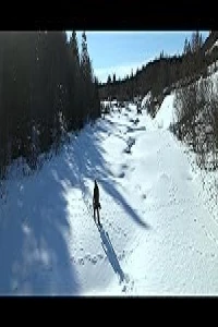 На краю Арктики