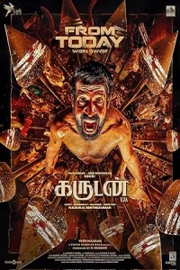 Брахманский коршун