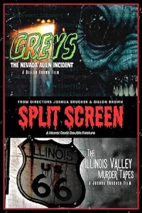 Разделенный экран