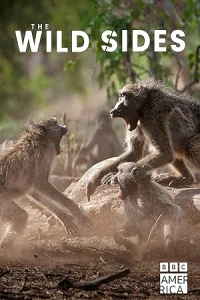 Стороны дикой природы