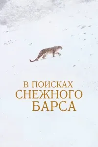 Снежный барс