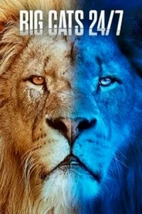 Большие кошки днём и ночью