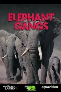 Гангстеры дикой природы