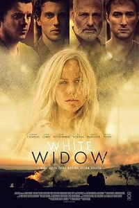 Ночь лотоса