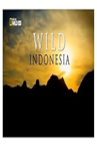 Дикая природа Индонезии