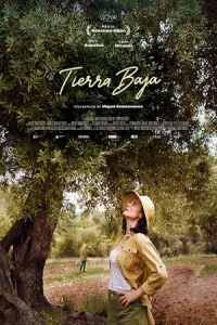 Низина